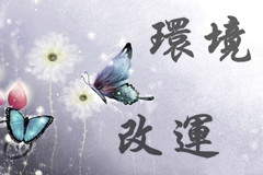  環(huán)境改運的一些簡易方法 