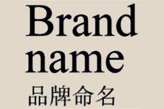 大易帶您了解品牌命名