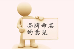 大易關(guān)于品牌命名的意見