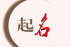 天津張先生您的公司起名方案已提交