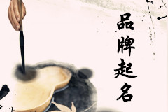 上海岳先生您的品牌設(shè)計(jì)及命名方案已發(fā)出