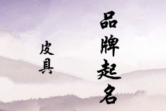 天津的文女士您的品牌起名方案已經發(fā)出