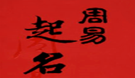 蘇州周先生您公司起名及LOGO設(shè)計已經(jīng)完成