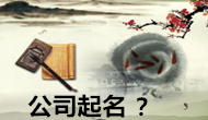 公司起名，你不知道的事