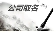 公司名稱VS企業(yè)成敗