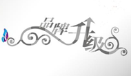 河北王先生您的公司品牌起名應(yīng)經(jīng)完成