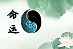 寶寶起名字的結(jié)構(gòu)與之