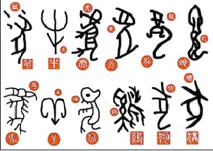 關(guān)于每一年生肖的正確確定時間
