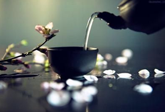 茶品起名