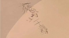 那些類型的名字需要改名字