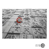 通過命名守護(hù)漢字